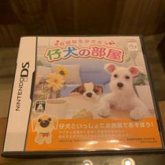 仔犬の部屋