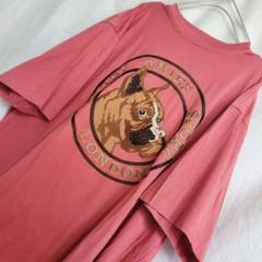 HARDY AMIES SPORT 犬 ビッグフェイス 刺繍 Tシャツ
