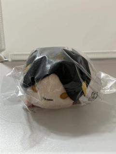 【10個セット】ハイキュー のるキャラマスコット 孤爪研磨HQ10thVer. ハイキュー!!』のるキャラマスコット(R) 孤爪研磨 （HQ10thVer