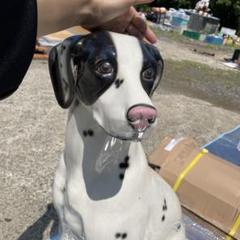 犬の置き物 大型陶器 ダルメシアン　2-1575