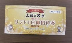 上国＆岩原　リフト1日ご招待券　ナイター付き　2枚 上国国際スキー場 岩原スキー場 リフト券 2枚セット-予約購入