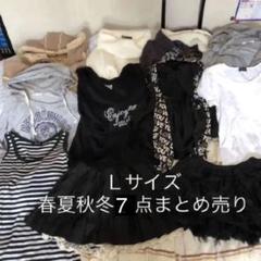 レディース服春夏秋冬11点まとめ売り 上着 ニット 半袖 スカート Lサイズ