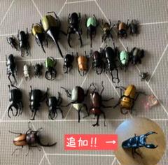昆虫フィギュア