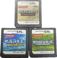 DS サバイバルキッズ 小さな島と大きな秘密 ロストインブルー 1 2 セット