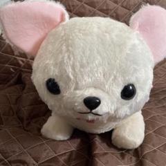むちむチワワ　むっちー　チワワ　犬　ぬいぐるみ