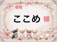 専用
