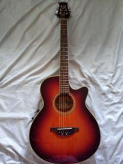 ギター ReedMan RM45E ReedMan RM45E