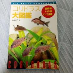 コリドラス大図鑑　他3点セットの合計4冊 コリドラス大図鑑 | 小林 圭介 |本 | 通販 | Amazon