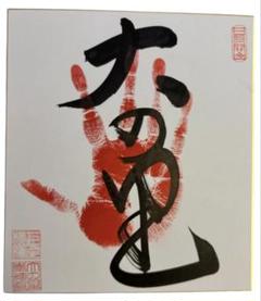 Amazon.co.jp: □貴重□大相撲鶴竜 横綱手形 直筆サイン色紙