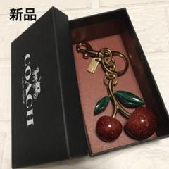 2022年最新】coach チャーム さくらんぼの人気アイテム - メルカリ 2022年最新】coach チャーム さくらんぼの人気アイテム - メルカリ