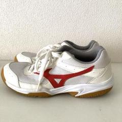 【新品未使用】アシックス　asics バレーボールシューズ　25.0cm 2025年最新】体育館シューズ23.5の人気アイテム - メルカリ