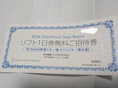 格安‼️売り切り‼️かぐら＆苗場リフト券1日券 ×2回分 ¥11000‼️ 苗場かぐらスキー場 リフト1日券 ×2回分 スキー場