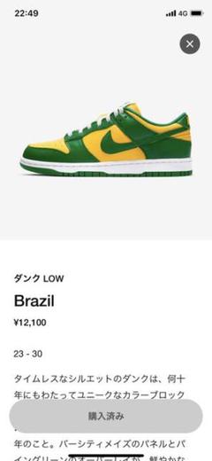 国内正規品 新品 28㎝ NIKE DUNK LOW SP BRAZIL