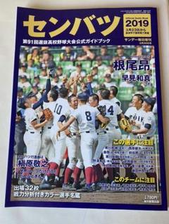 第91回選抜高等学校野球大会 第91回選抜高等学校野球大会（2019年） | MBS動画イズム