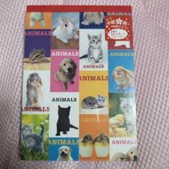 動物　メモ帳　平成レトロ