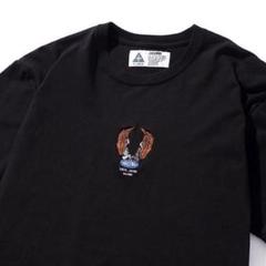 CHALLENGER EMBROIDERED ANGELS TEE