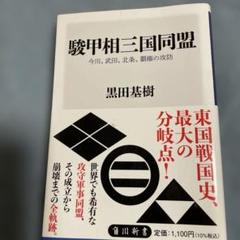 駿甲相三国同盟 今川、武田、北条、覇権の攻防