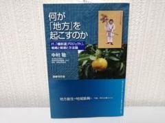 何が「地方」を起こすのか IT、「橘街道プロジェクト」、戦略と戦術と方法論