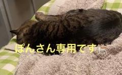 Nintendo Switchソフト 箱庭牧場ひつじ村