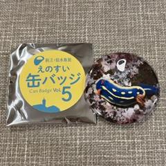 新江ノ島水族館 缶バッジ　アオウミウシ
