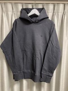 2025年最新】THE NORTH FACE PURPLE LABEL メンズ パーカーの