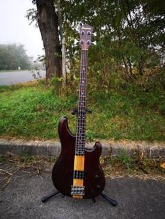 2023年最新】Ibanez MCの人気アイテム - メルカリ