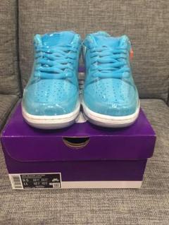 NIKE SB DUNK LOW PRO "BLUE FURY"