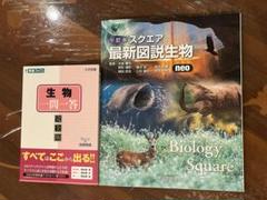 最新図説生物 neo Amazon.co.jp: スクエア最新図説生物neo 八訂版 : おもちゃ