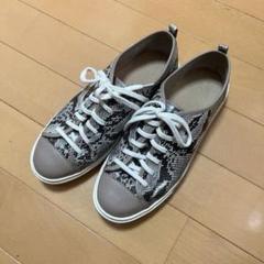 コールハーン　5B 23センチ