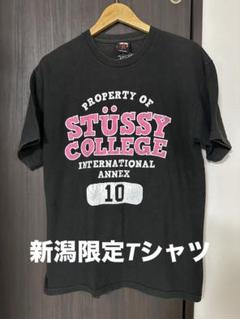 激レア新潟限定 ステューシー STUSSY stussy オールド