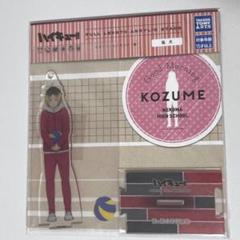 ハイキュー 朝 アクスタ 孤爪研磨