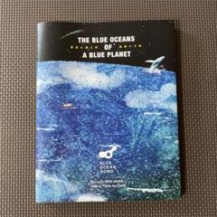 THE BLUE OCEANS OF A BLUE PLANET