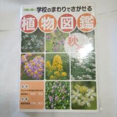学校のまわりでさがせる植物図鑑 ハンディ版 春 夏 秋冬 樹木 全4冊セット 学校のまわりでさがせる植物図鑑 ハンディ版 春 夏 秋冬 樹木 全