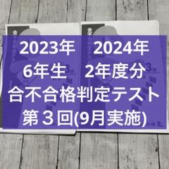 2023年2024年 合不合格判定テスト 2年度分 第1回〜第6回 12回分四谷 合不合格判定テスト 2023年2024年 6年生 第2回〜第