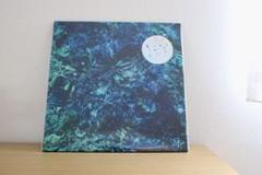 新品未開封 青葉市子 luminescent creatures LP レコード - メルカリ