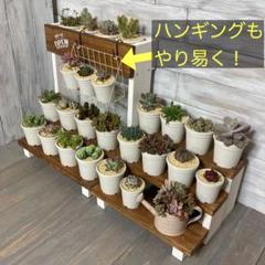 KS2 セット　多肉棚　多肉植物　観葉植物　ウッドプランター　ディスプレイ L08 多肉植物棚 多肉棚 ウッドプランター 観葉植物 ディスプレイ