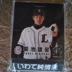 入手困難☆西武ライオンズ 菊池雄星 背番号17】応援グッズサイズL