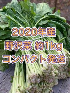 ★2020年産★ 野沢菜 約1kg M-164