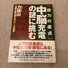 中古本 借力しゃくりきの軌跡 力抜山 著 2025年最新】力抜山の人気アイテム - メルカリ