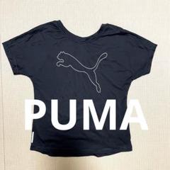 PUMA フィットネスフェア　ヨガウェア　スポーツウェア