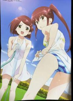 Kiss x Sis Vol.3 (OVA 1) (DVD) : Amazon.pl: Płyty DVD i Blu-ray