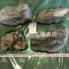 水槽アクアリウム・渓流石、青石