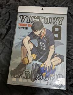 ハイキュー　ハイキュー!! 白鳥沢　烏野　JF クリアファイル グッズ-クリアファイル】ハイキュー!! 烏野高校 VS 白鳥沢学園