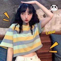 Tシャツ 半袖 ショート丈 黄色 学生 【大人気】レディース L 韓国 ボーダー