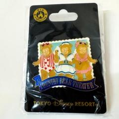 ディズニー ピンバッチ カントリーベア ヴィランズ Disney pin USA直輸入】Disney ヴィランズ ピンバッチ 4点 セット