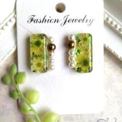押し花デザイン 緑色ピアス/イヤリング(ハンドメイド)