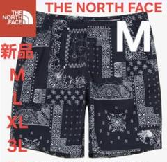 美品THE NORTH FACEノースフェイスLノベルティNovelty