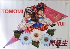 【レア】エルフ 「同級生」「同級生2」Dxポスター全8種コンプセット Amazon.co.jp: 同級生2 (3.5