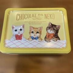 空き缶　猫
