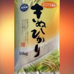 数量限定★令和元年産★近江米★キヌヒカリ10kg×2★7,600円★白米